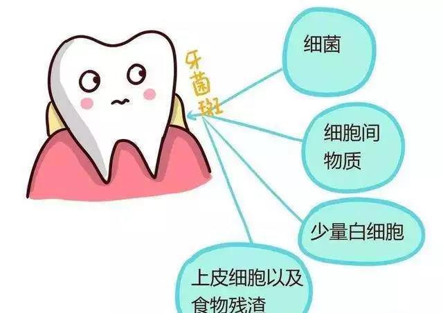 侵害牙周组织，引起炎症